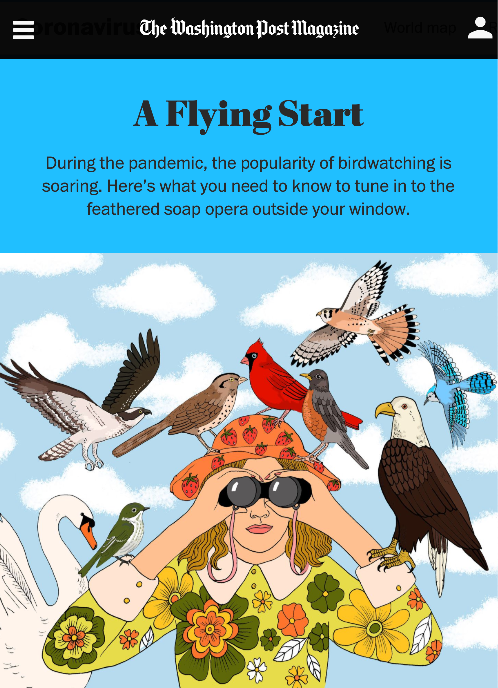 The Washington Post Magazine: Illustration for A Flying Start